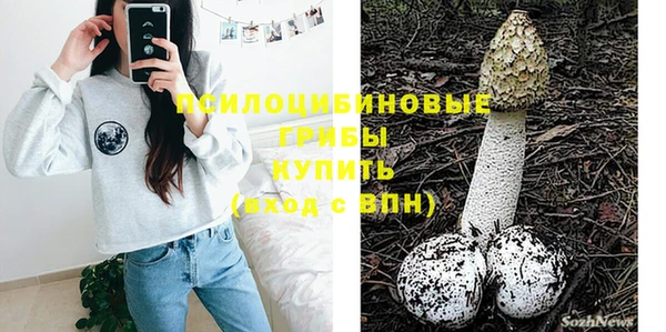 mdpv Богородск