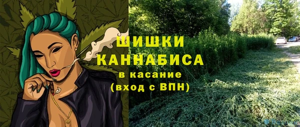 амф Протвино