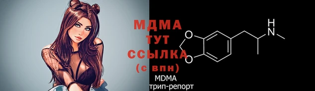 mdpv Богородск
