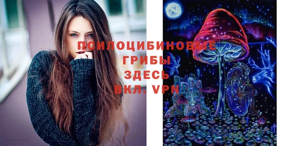 mdpv Богородск