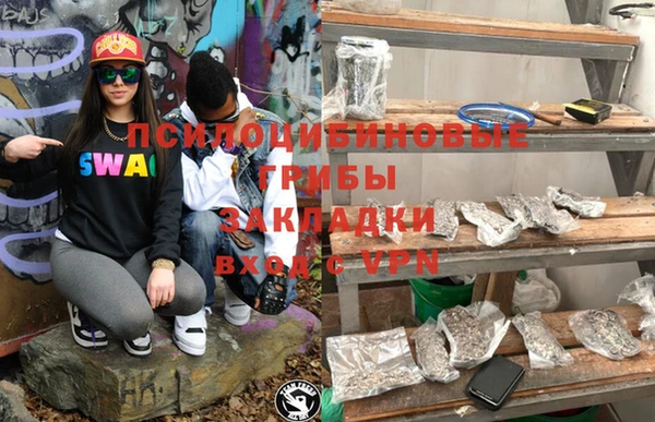 mdpv Богородск