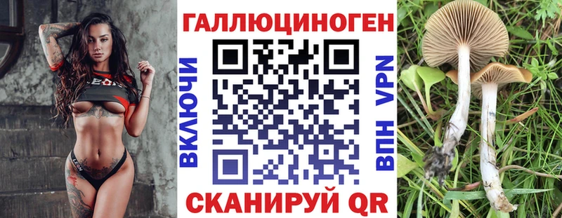 Галлюциногенные грибы Psilocybe  Щучье 