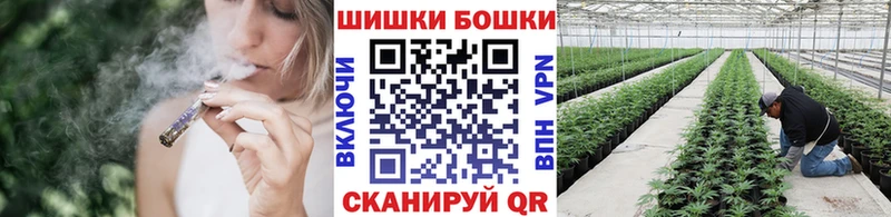 Канабис индика  купить наркотики сайты  Щучье 